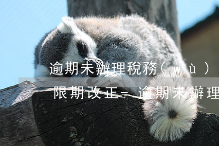 逾期未辦理稅務(wù)登記責(zé)令限期改正-逾期未辦理稅務(wù)登記責(zé)令限期改正怎么辦