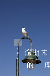 逾期未辦理過戶手續(xù)(逾期過戶糾紛的處理)