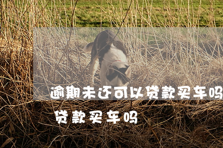 逾期未还可以贷款买车吗(半年前有逾期,还能贷款买车吗)