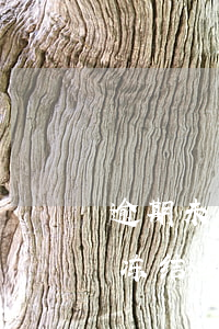 逾期未还款冻结银行卡(欠款逾期银行卡会被冻结吗)