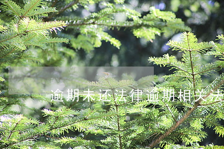 逾期未还法律(逾期相关法律)
