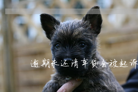 逾期未还清车贷会被起诉吗