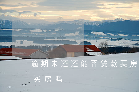 逾期未还还能否贷款买房(贷款逾期还能贷款买房吗)