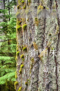 逾期未退包裝物押金計(jì)入銷項(xiàng)嗎(逾期不退的包裝物押金賬務(wù)處理)