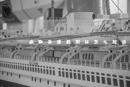 逾期未退款可以怎么起诉(退款未退起诉程序)