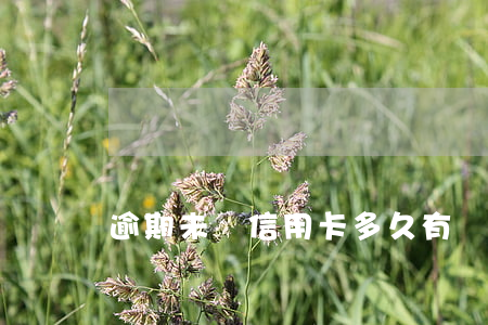 逾期未還信用卡多久有記錄么
