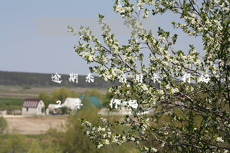 逾期未還信用卡,銀行起訴判幾年（信用卡逾期2年銀行起訴）