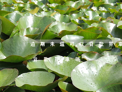 逾期未還可以貸款買車嗎(半年前有逾期,還能貸款買車嗎)