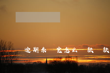 逾期未還完怎么貸款(貸款多久未還算逾期)