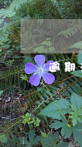 逾期未還房貸(逾期未還房貸)