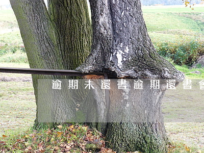 逾期未還書(逾期還書會怎樣)