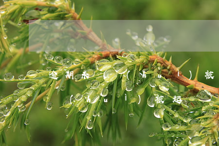 逾期未還會(huì)被起訴嗎-逾期不還會(huì)被起訴嗎