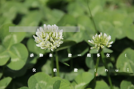 逾期未還款一般多久會(huì)被起訴 多久沒有還款會(huì)起訴