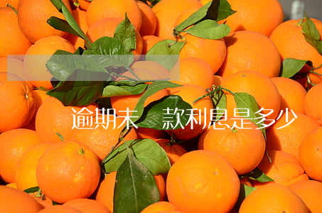 逾期未還款利息是多少