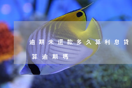 逾期未還款多久算利息(貸款未到期但欠息了算逾期嗎)