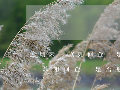 逾期未還款如何查詢是否被起訴了-逾期未還款如何查詢是否被起訴了呢