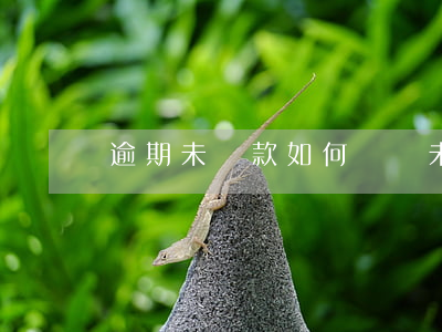 逾期未還款如何訴訟(未到還款期限能否起訴)