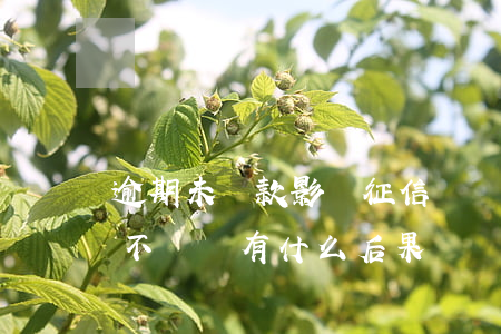 逾期未還款影響征信嗎(貸款逾期多久上征信 不還會有什么后果)
