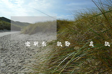逾期未還款影響進度(還款失敗導致逾期)