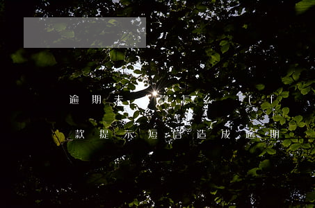 逾期未還款怎么發(fā)短信(沒有收到還款提示短信,造成逾期)