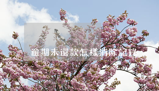 逾期未還款怎樣消除記錄