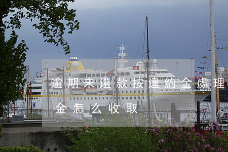 逾期未還款按違約金處理(借款逾期不還違約金怎么收取)