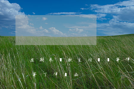 逾期未還款支付寶會寄律師函嗎(支付寶逾期寄了律師函)