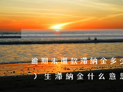 逾期未還款滯納金多少(逾期將產(chǎn)生滯納金什么意思)