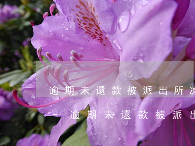 逾期未還款被派出所凍結(jié)銀行卡-逾期未還款被派出所凍結(jié)銀行卡怎么辦