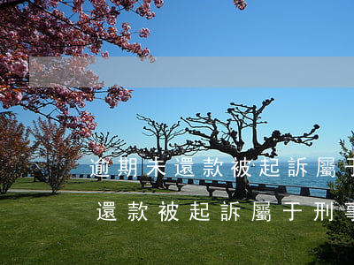 逾期未還款被起訴屬于刑事犯罪嗎-逾期未還款被起訴屬于刑事犯罪嗎知乎
