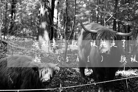 逾期未還款車被拖走了(車貸沒(méi)有按時(shí)還款被拖走了,怎么辦)