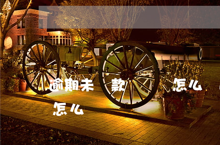 逾期未還款車貸會怎么樣(逾期未還款車貸會怎么樣)