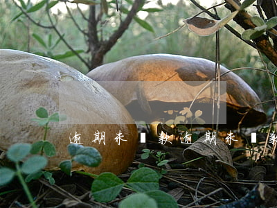 逾期未還款,逾期未還款利息怎么算 逾期未還款,逾期未還款利息怎么算