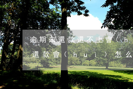 逾期未還款還不上會(huì)怎樣(逾期未還款會(huì)怎么樣)