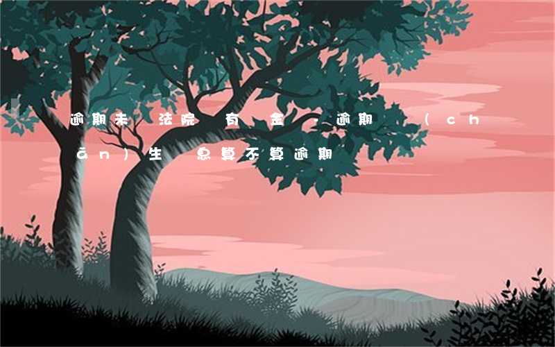 逾期未還法院會有罰金嗎-逾期沒產(chǎn)生罰息算不算逾期