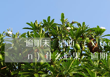 逾期未還清助學(xué)貸將承擔(dān)什么后果-逾期未還清助學(xué)貸將承擔(dān)什么后果呢