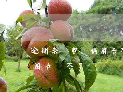 逾期未還申請信用卡(有逾期未還款是不是信用卡辦不了)