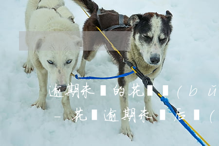 逾期未還的花唄補(bǔ)還后還扣利息嗎-花唄逾期未還,后續(xù)補(bǔ)還有什么影響嗎
