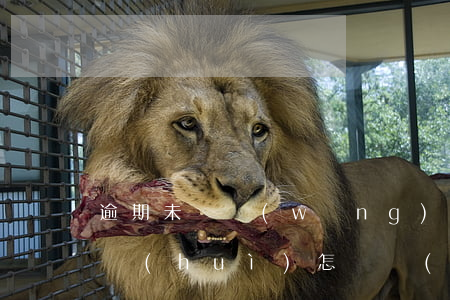 逾期未還網(wǎng)絡(luò)貸款會(huì)怎樣(網(wǎng)絡(luò)貸款逾期不還會(huì)怎么樣)