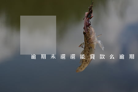 逾期未還還能貸款么(逾期了為什么不能還款)