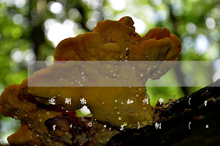 逾期未還錢如何申請(qǐng)法院強(qiáng)制執(zhí)行-逾期還錢能不能申請(qǐng)強(qiáng)制執(zhí)行