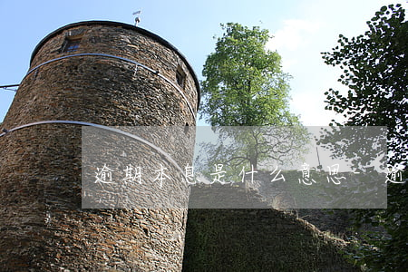 逾期本息是什么意思-逾期本金是什么