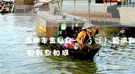 逾期本金利息計(jì)算（逾期借款的本金和利息如何償還）