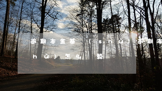 逾期本金基數(shù)(逾期本金基數(shù)怎么計算)