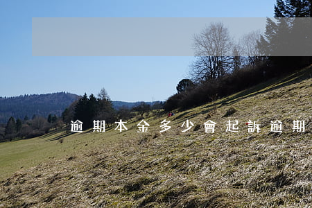 逾期本金多少會起訴(逾期只還本金會起訴嗎)