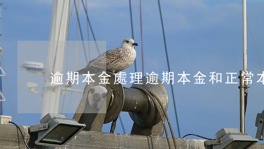 逾期本金處理(逾期本金和正常本金)