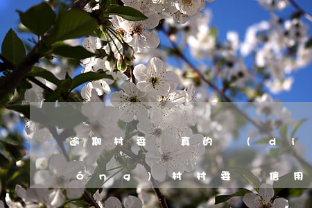 逾期村委會真的調(diào)查嗎（農(nóng)村村委會信用卡逾期）