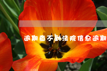 逾期查不到法院信息 逾期起訴怎么查詢