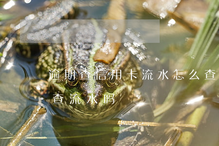逾期查信用卡流水怎么查(信用卡逾期了还能查流水吗)