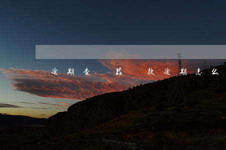 逾期查詢器(貸款逾期怎么查詢)